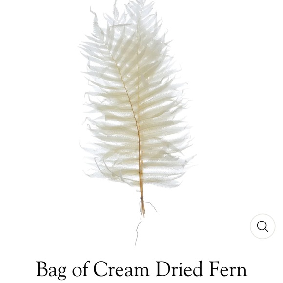 Creative Co Op Dried Cream Fern Bouquet - Picture 4 of 12